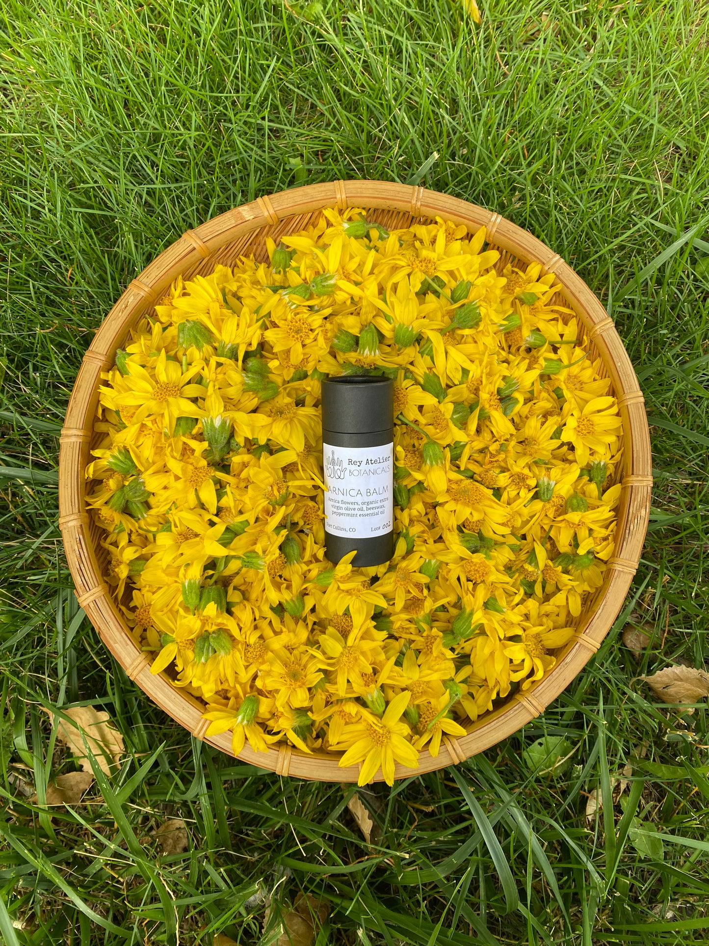 Arnica Balm